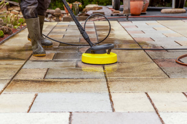Best Animal Enclosure Cleaning  in Pelham Manor, NY